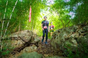 BIB: 
                            <button type="button" onclick="openModal(22087393)" class="btn btn-primary btn-sm float-right btn-popup" data-toggle="modal" data-target=".modal-high-quality">
                        <i class="fas fa-shopping-cart"></i> Add to Cart
                    </button>
                                            <button type="button" onclick="isThisMe(22087393, true)" class="btn btn-success btn-sm float-right btn-popup btn-isme hidden" data-toggle="tooltip" data-placement="bottom" title="นี่คือรูปของคุณใช่ไหม คลิกที่นี่เพื่อเอาเข้าอัลบั้ม">
                        <i class="fas fa-plus"></i> Add to album
                    </button>
                    <button type="button" onclick="isThisMe(22087393, false)" class="btn btn-warning btn-sm float-right btn-popup btn-isnotme hidden">
                        <i class="fas fa-ban"></i> Remove from album
                    </button>